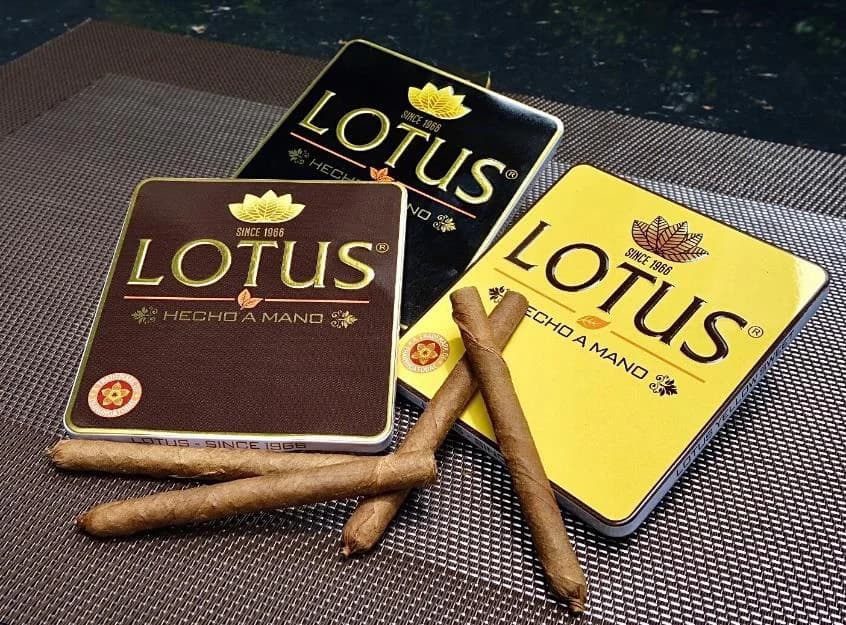 Cigar Lotus Mini No2