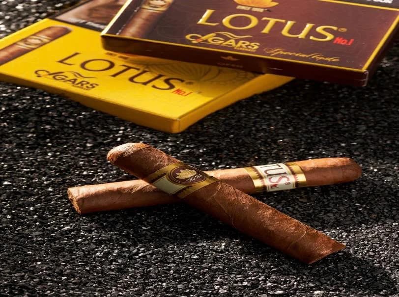 Cigar Lotus No1