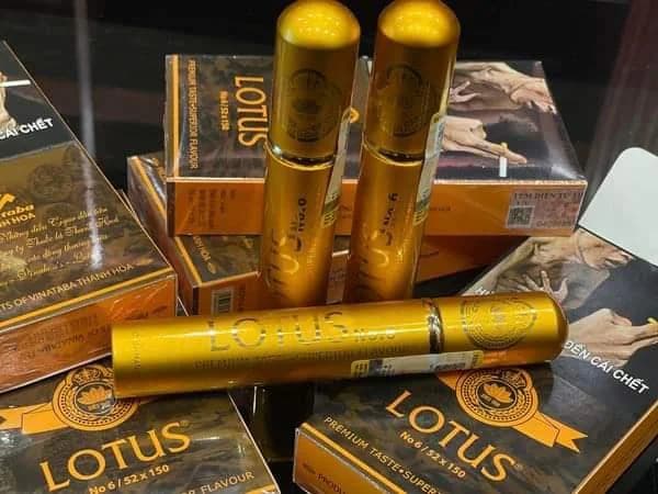 Cigar Lotus No6